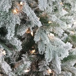 Northlight 7.5' Pre-Lit Full Frosted Butte Fir Artificial Christmas Tree - Clear AlwaysLit Lights Green 11 Northlight 7.5' Pre-Lit Full Frosted Butte Fir Artificial Christmas Tree - Clear AlwaysLit Lights Green -Northlight 1152950183126229664