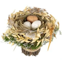 Northlight Bird's Nest With Eggs Easter Bundle Decoration - 6.5" Brown -Northlight 1153053224828975120