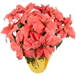 Northlight Artificial Christmas Poinsettia With Wrapped Base - 20" - Pink 14 Northlight Artificial Christmas Poinsettia With Wrapped Base - 20" - Pink -Northlight 1153119202333050080