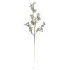 Northlight 30" Artificial White And Champagne Gold Beaded Twig Christmas Spray -Northlight 1153284958132757152