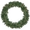 Northlight Pre-Lit Oregon Cashmere Pine Artificial Christmas Wreath - 48" - Clear Lights Green -Northlight 1153422313655231136