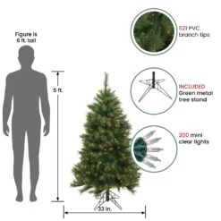 Northlight 5' Pre-Lit Green Medium Beaver Pine Artificial Christmas Tree, Clear Lights 8 Northlight 5' Pre-Lit Green Medium Beaver Pine Artificial Christmas Tree, Clear Lights -Northlight 1153422314968048288