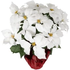 Northlight Artificial Christmas Poinsettia Flowers With Wrapped Base - 22" - White 14 Northlight Artificial Christmas Poinsettia Flowers With Wrapped Base - 22" - White -Northlight 1153445779835077856