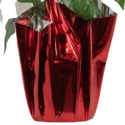 Northlight Artificial Christmas Poinsettia With Wrapped Base - 14.5" - White And Red 15 Northlight Artificial Christmas Poinsettia With Wrapped Base - 14.5" - White And Red -Northlight 1153465325291717856