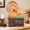 Northlight Happy Thanksgiving Turkey And Pumpkins Box Figure - 20.25" Orange 1 Northlight Happy Thanksgiving Turkey And Pumpkins Box Figure - 20.25" Orange -Northlight 129654857683888