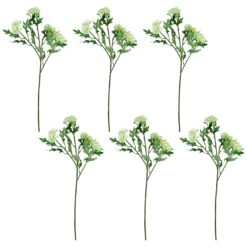 Northlight Finch Laceflower Artificial Floral Sprays- 27" - White And Green - Set Of 6 12 Northlight Finch Laceflower Artificial Floral Sprays- 27" - White And Green - Set Of 6 -Northlight 138442434052656