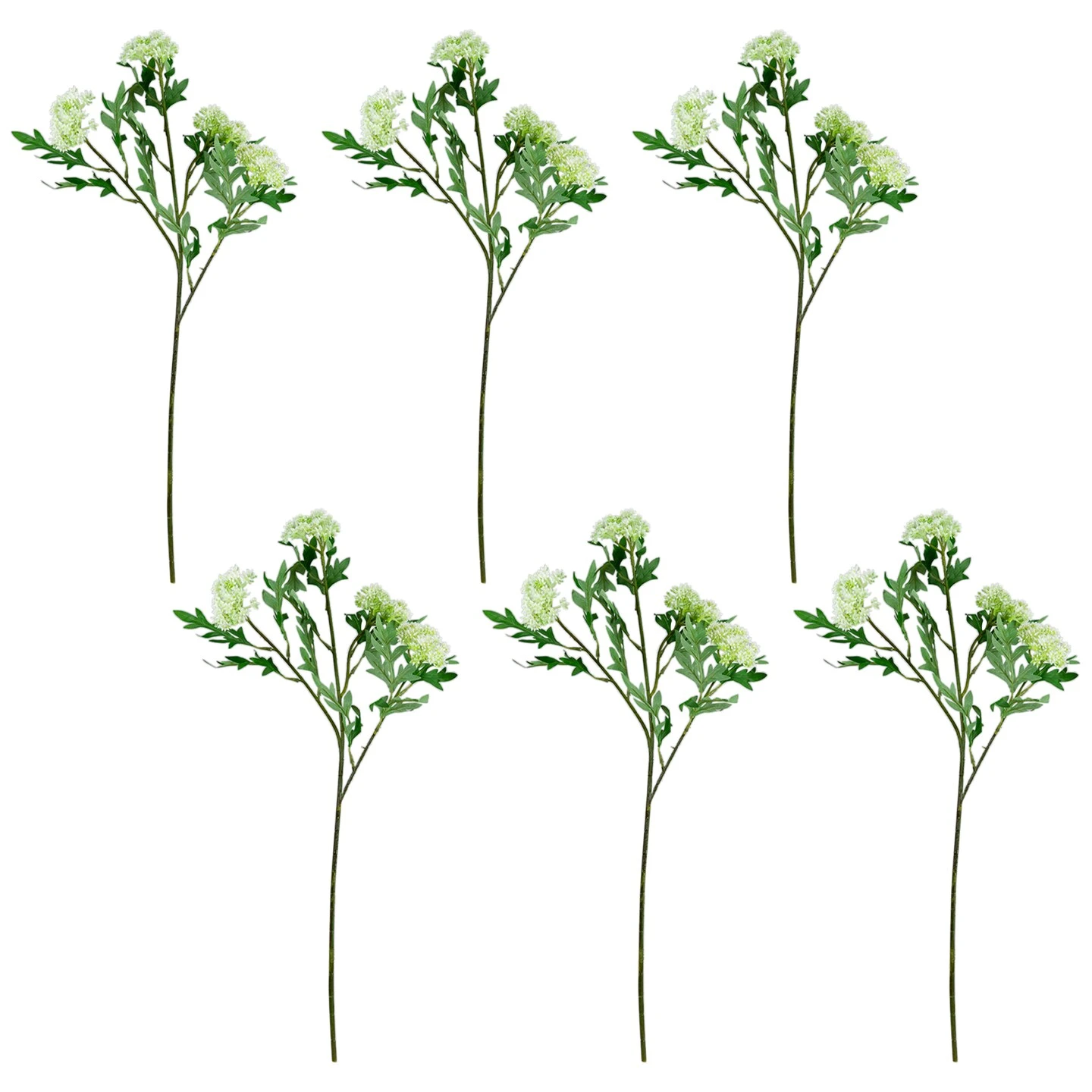 Northlight Finch Laceflower Artificial Floral Sprays- 27" - White And Green - Set Of 6 5 Northlight Finch Laceflower Artificial Floral Sprays- 27" - White And Green - Set Of 6 - Image 3