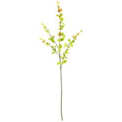 Northlight Berry Branch Artificial Sprays - 34" - Green And Brown - Set Of 6 13 Northlight Berry Branch Artificial Sprays - 34" - Green And Brown - Set Of 6 -Northlight 14159502279216