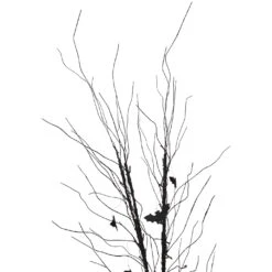 Northlight Pre-Lit Halloween Branch Tree With Bats - 50" - Black - LED Warm White -Northlight 146227706348768