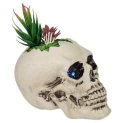 Northlight LED Lighted Succulent Skull Planter Artificial Halloween Decoration - 8.75" White 14 Northlight LED Lighted Succulent Skull Planter Artificial Halloween Decoration - 8.75" White -Northlight 146227723322592