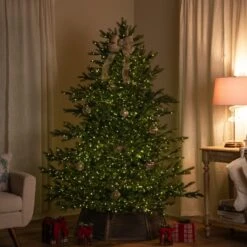 Northlight Real Touch™️ Pre-Lit Full Oregon Noble Fir Artificial Christmas Tree - 6.5' - Warm White LED Lights Green 13 Northlight Real Touch™️ Pre-Lit Full Oregon Noble Fir Artificial Christmas Tree - 6.5' - Warm White LED Lights Green -Northlight 159971256411856