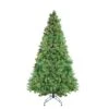 Northlight Pre-Lit Canterbury Spruce With Dewdrops Artificial Christmas Tree - 7.5' - Clear Lights Green 2 Northlight Pre-Lit Canterbury Spruce With Dewdrops Artificial Christmas Tree - 7.5' - Clear Lights Green -Northlight 191879642542128