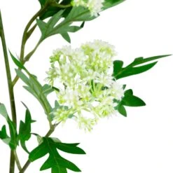 Northlight Finch Laceflower Artificial Floral Sprays- 27" - White And Green - Set Of 6 15 Northlight Finch Laceflower Artificial Floral Sprays- 27" - White And Green - Set Of 6 -Northlight 2305877743219933744