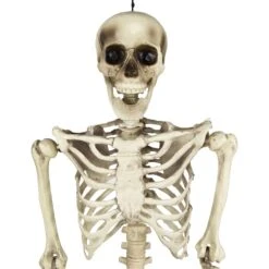 Northlight Life Size Skeleton Halloween Hanging Decoration - 5' Ivory -Northlight 2305886611112049632