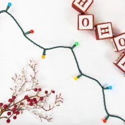 Northlight LED G12 Berry Christmas Lights - Multicolor - 16' Green Wire - 50ct -Northlight 2305986891920160272