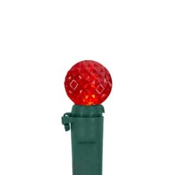 Northlight LED G12 Berry Christmas Lights - Red, Green And White -15.9' Green Wire - 50ct -Northlight 2306048197114850256