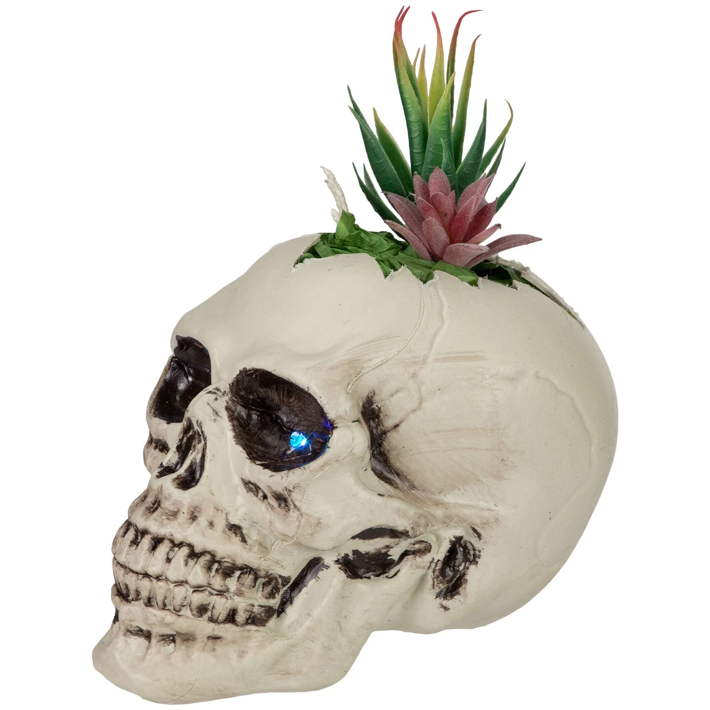Northlight LED Lighted Succulent Skull Planter Artificial Halloween Decoration - 8.75" White 8 Northlight LED Lighted Succulent Skull Planter Artificial Halloween Decoration - 8.75" White - Image 6