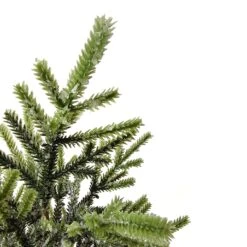 Northlight Frosted Pine Tree With Natural Jute Base Christmas Decoration - 13.25" Green 9 Northlight Frosted Pine Tree With Natural Jute Base Christmas Decoration - 13.25" Green -Northlight 2306206463513453216