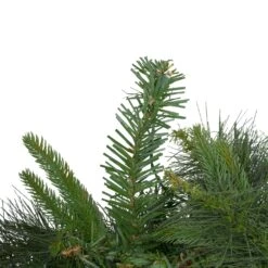 Northlight Pre-Lit Battery Operated Ashcroft Cashmere Pine Christmas Garland - 6' X 14"- Warm White LED Lights Green -Northlight 2306249129235954656