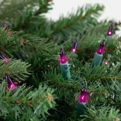 Northlight Mini Incandescent Christmas Lights - Purple - 10' Green Wire - 50ct 12 Northlight Mini Incandescent Christmas Lights - Purple - 10' Green Wire - 50ct -Northlight 2306249129487612896