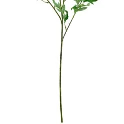 Northlight Finch Laceflower Artificial Floral Sprays- 27" - White And Green - Set Of 6 16 Northlight Finch Laceflower Artificial Floral Sprays- 27" - White And Green - Set Of 6 -Northlight 2306254388229472816