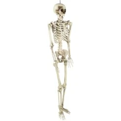 Northlight Life Size Skeleton Halloween Hanging Decoration - 5' Ivory -Northlight 2306256650461887456