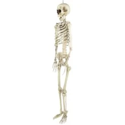 Northlight Life Size Skeleton Halloween Hanging Decoration - 5' Ivory -Northlight 2306315682639887328