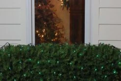 Northlight Net Style Incandescent Christmas Lights - 4' X 6' - Green - Green Wire 11 Northlight Net Style Incandescent Christmas Lights - 4' X 6' - Green - Green Wire -Northlight 2306367284876035296