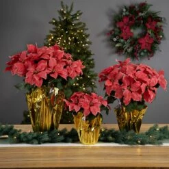Northlight Artificial Christmas Poinsettia With Wrapped Base - 20" - Pink 13 Northlight Artificial Christmas Poinsettia With Wrapped Base - 20" - Pink -Northlight 2306386830838088928