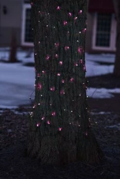 Northlight Mini Net Style Incandescent Christmas Lights - 2' X 8' - Pink - Brown Wire 10 Northlight Mini Net Style Incandescent Christmas Lights - 2' X 8' - Pink - Brown Wire -Northlight 269575529282528