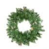 Northlight 24" Frosted Mixed Pine With Pinecones Artificial Wreath -Northlight 28529 31742078