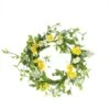 Northlight 24" White & Yellow Field Daisy & Berry Wreath 2 Northlight 24" White & Yellow Field Daisy & Berry Wreath -Northlight 28529 32013084