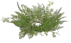 Northlight Mixed Green Artificial Fern Hurricane Glass Candle Holder