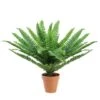 Northlight 18.5" Potted Artificial Green Boston Fern Plant -Northlight 28529 32035999