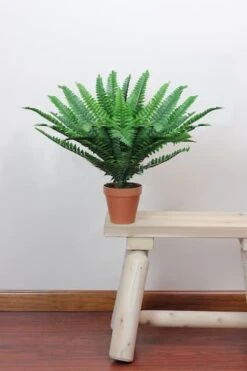 Northlight 18.5" Potted Artificial Green Boston Fern Plant -Northlight 28529 32035999 4