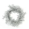 Northlight 22" Clear Ice & Snowflakes Black Twigs Wreath