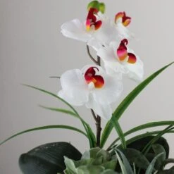 Northlight 12" White Springtime Easter Orchid & Succulents Artificial Arrangement In Planter 9 Northlight 12" White Springtime Easter Orchid & Succulents Artificial Arrangement In Planter -Northlight 28529 32556426 2