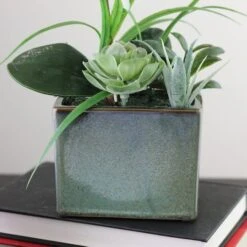 Northlight 12" White Springtime Easter Orchid & Succulents Artificial Arrangement In Planter 10 Northlight 12" White Springtime Easter Orchid & Succulents Artificial Arrangement In Planter -Northlight 28529 32556426 3