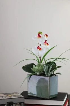 Northlight 12" White Springtime Easter Orchid & Succulents Artificial Arrangement In Planter 11 Northlight 12" White Springtime Easter Orchid & Succulents Artificial Arrangement In Planter -Northlight 28529 32556426 4