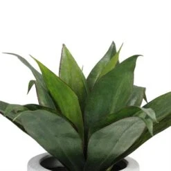 Northlight 13" GreenArtificial Agave In Weathered White Ceramic Pot 9 Northlight 13" GreenArtificial Agave In Weathered White Ceramic Pot -Northlight 28529 32556439 2
