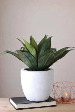 Northlight 13" GreenArtificial Agave In Weathered White Ceramic Pot 11 Northlight 13" GreenArtificial Agave In Weathered White Ceramic Pot -Northlight 28529 32556439 4