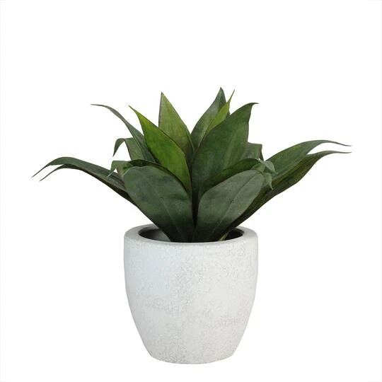 Northlight 13" GreenArtificial Agave In Weathered White Ceramic Pot 3 Northlight 13" GreenArtificial Agave In Weathered White Ceramic Pot