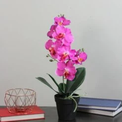 Northlight 20" Pink Flowering Artificial Potted Tropical Orchid -Northlight 28529 32605601 2