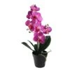 Northlight 20" Pink Flowering Artificial Potted Tropical Orchid 1 Northlight 20" Pink Flowering Artificial Potted Tropical Orchid -Northlight 28529 32605601 u
