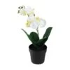 Northlight White & Yellow Artificial Tropical Potted Orchid 2 Northlight White & Yellow Artificial Tropical Potted Orchid -Northlight 28529 32605602 u