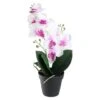 Northlight White & Pink Artificial Flowering Potted Tropical Orchid 1 Northlight White & Pink Artificial Flowering Potted Tropical Orchid -Northlight 28529 32605603 u