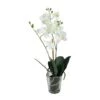 Northlight 18.5" Blooming White Orchid Plant In Clear Vase 1 Northlight 18.5" Blooming White Orchid Plant In Clear Vase -Northlight 28529 32605604