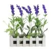 Northlight 11.75" Lavender Plant In White Picket Fence Container -Northlight 28529 32606246
