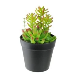 Northlight 8" Artificial Variegated Succulent Plants In Pot -Northlight 28529 32606328 1