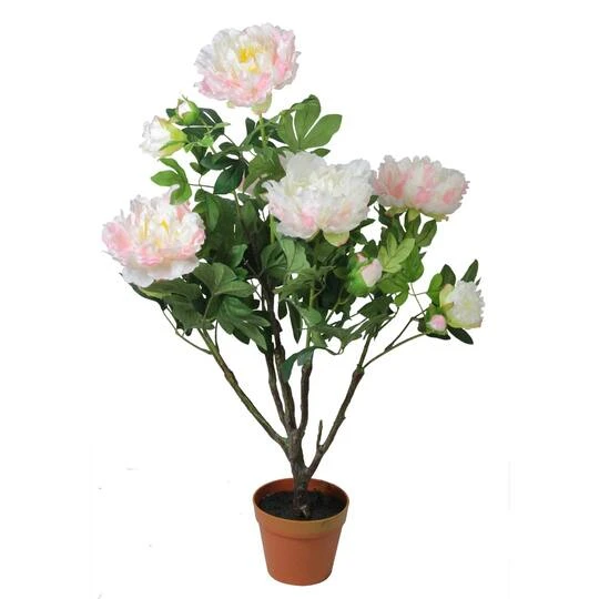 Northlight 36" Light Peach And Pink Blooming Potted Peony Plant 3 Northlight 36" Light Peach And Pink Blooming Potted Peony Plant